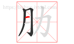 肋字的第3画:一,横