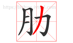 肋字的第6画:丿,撇