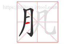 肌字的第4画:一,横