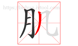 肌字的第5画:丿,撇