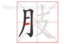 肢字的第4画:一,横