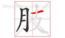 肢字的第5画:一,横