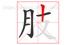 肢字的第6画:丨,竖