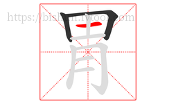 胃字的第3画:一,横
