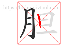 胆字的第5画:丨,竖