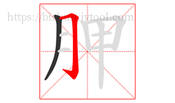 胛字的第2画:𠃌,横折钩