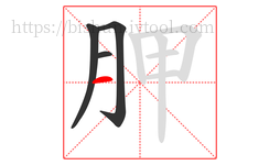 胛字的第4画:一,横