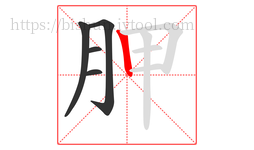 胛字的第5画:丨,竖