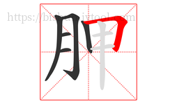 胛字的第6画:𠃍,横折