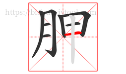 胛字的第8画:一,横