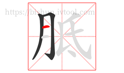 胝字的第3画:一,横