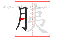 胰字的第4画:一,横