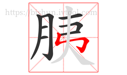 胰字的第8画:㇉,竖折折钩