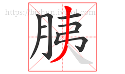 胰字的第9画:丿,撇