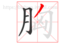 胸字的第5画:丿,撇