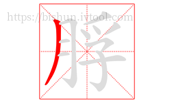 脬字的第1画:丿,撇