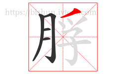 脬字的第5画:丿,撇