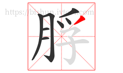脬字的第8画:丿,撇