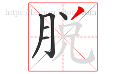 脱字的第6画:丿,撇