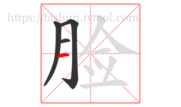 脸字的第4画:一,横