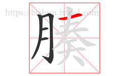 腠字的第5画:一,横