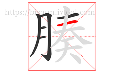 腠字的第6画:一,横
