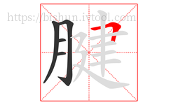 腱字的第5画:𠃍,横折