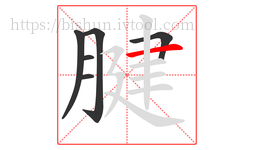 腱字的第6画:一,横
