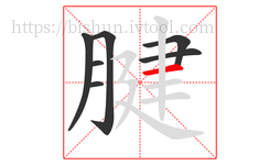 腱字的第7画:一,横