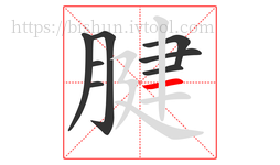 腱字的第8画:一,横