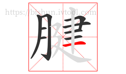 腱字的第9画:一,横