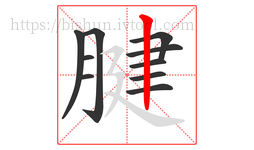 腱字的第10画:丨,竖