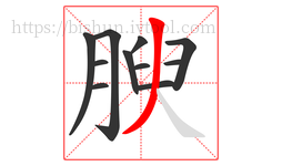 腴字的第11画:丿,撇