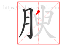 腴字的第5画:丿,撇
