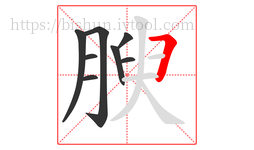 腴字的第8画:𠃍,横折