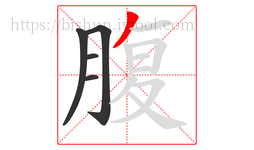 腹字的第5画:丿,撇