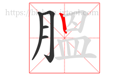 膃字的第5画:丨,竖