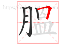 膃字的第6画:𠃍,横折