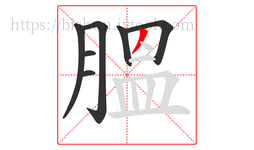 膃字的第7画:丿,撇