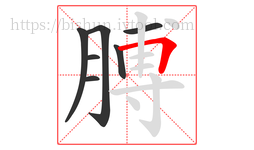 膊字的第7画:𠃍,横折