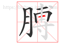 膊字的第8画:一,横