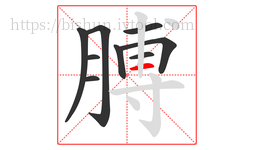 膊字的第9画:一,横