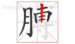 膊字的第10画:丨,竖