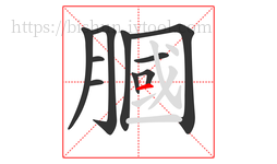 膕字的第10画:一,横