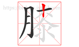 膝字的第6画:丨,竖