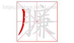 臁字的第1画:丿,撇