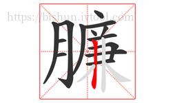 臁字的第14画:丨,竖