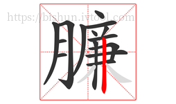 臁字的第15画:丨,竖