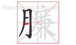 臁字的第4画:一,横
