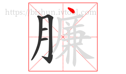 臁字的第5画:丶,点